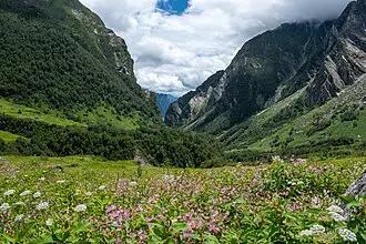 Delhi to Valley of Flowers Tour