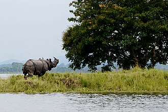 Guwahati to Majuli Tour